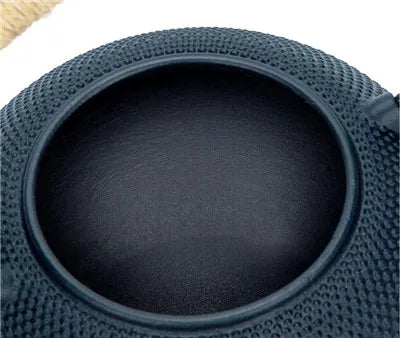 Cast Iron Teapot with Stainless Steel Mesh Filter — Induction Ready