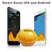 Wireless Fish Finder Sonar Sensor Echo Sounder – Portable Fishing Sonar