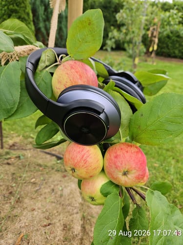 Casque Oneodio noir suspendu dans un pommier