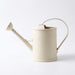 2-litre Long-Spout Watering Can — Durable Plastic with Ergonomic Handle